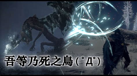 鳥死亡|艾爾登法環 (Elden Ring) 死之鳥、死亡儀式鳥位置與擊殺獎勵